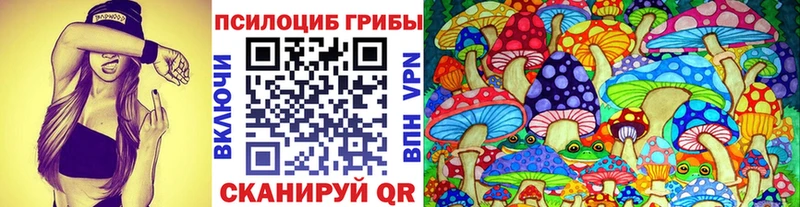 магазин продажи   Вязьма  Псилоцибиновые грибы MAGIC MUSHROOMS 